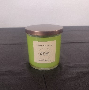 Frozen Margarita Single Wick Candle